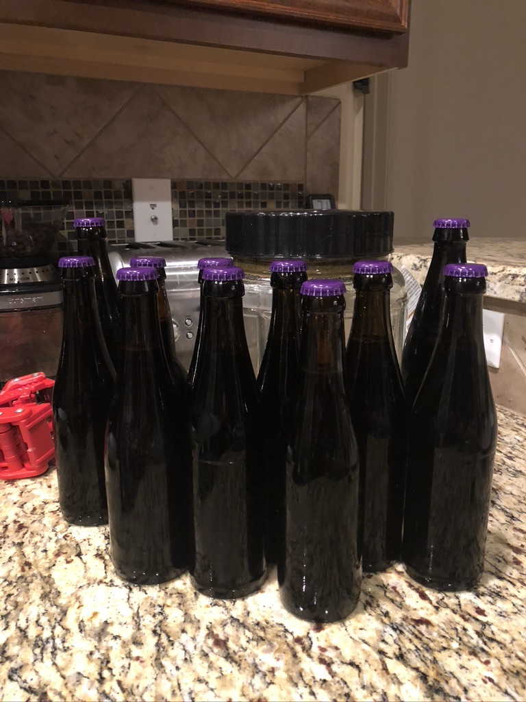 Bottles of beer capped and ready to condition