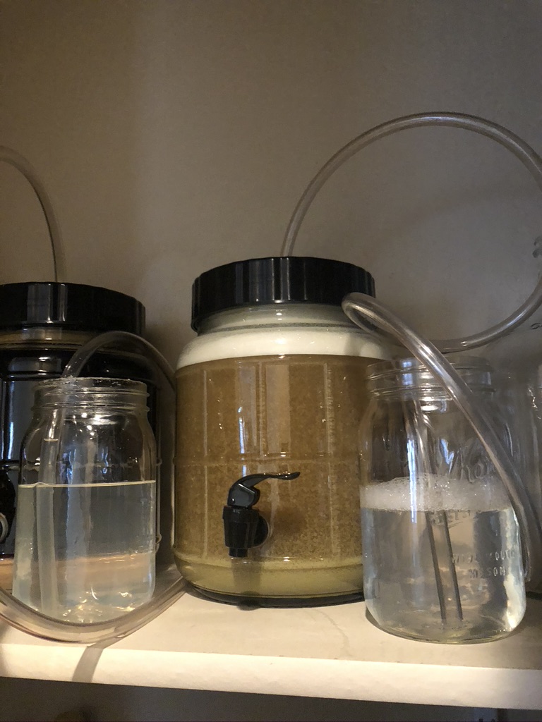 Fermenter with blow-off tube going to mason jar filled with sanitized water