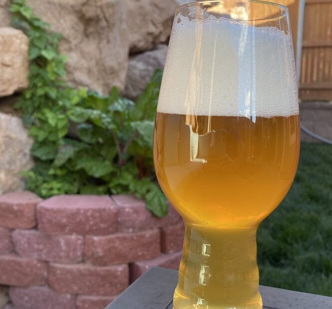 Sabro Single Hop Recipe