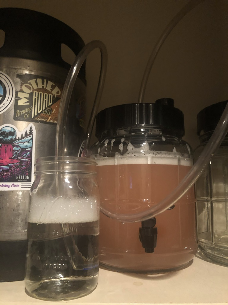 Must ready to ferment, I chose to use a blow-off tube instead of an airlock
Again, the must is pink in this case as I was making a rhubarb mead
